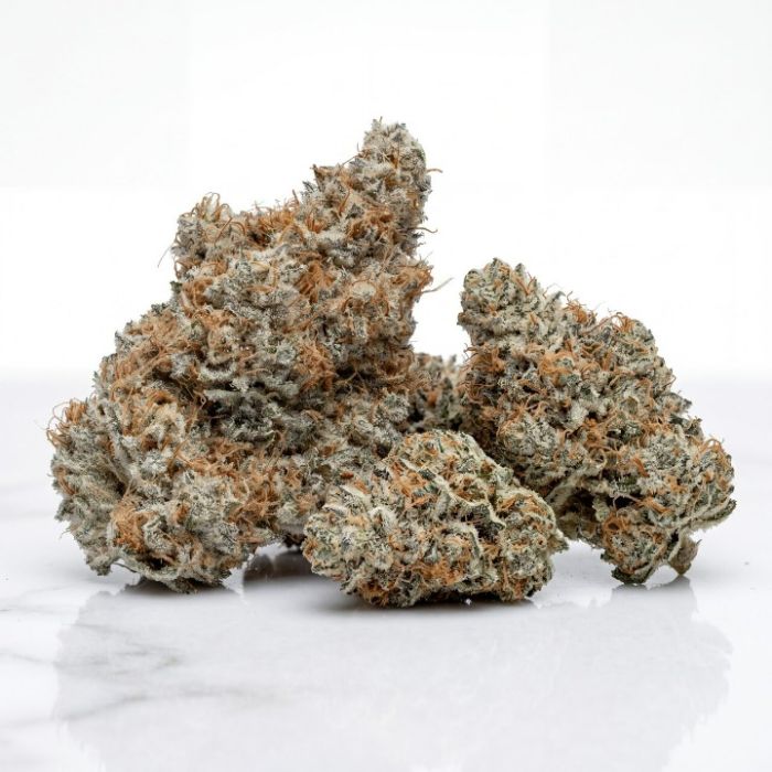 Banana Hammock Seeds