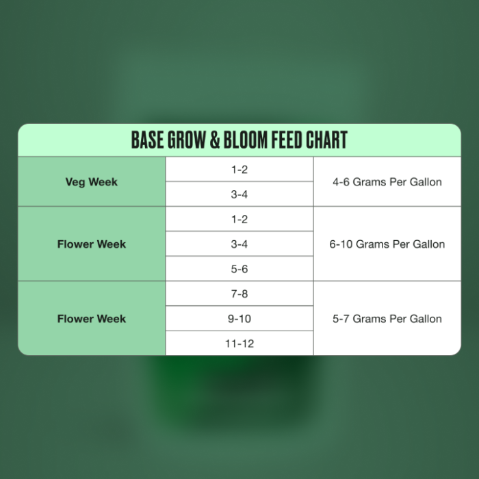 Base Grow & Bloom Nutrients