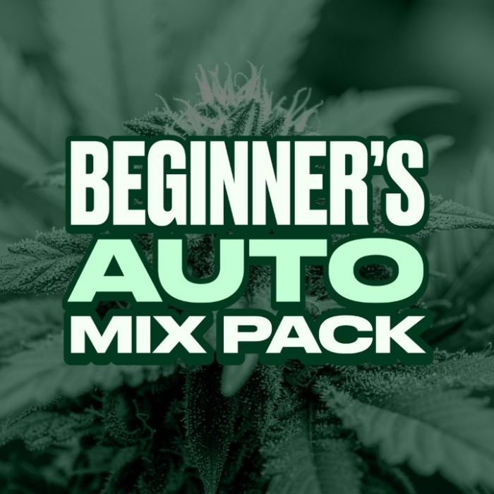 Beginner’s Autoflower Mix Pack