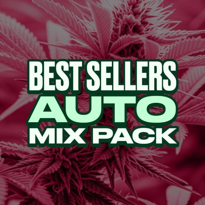 Best Sellers Autoflower Mix Pack