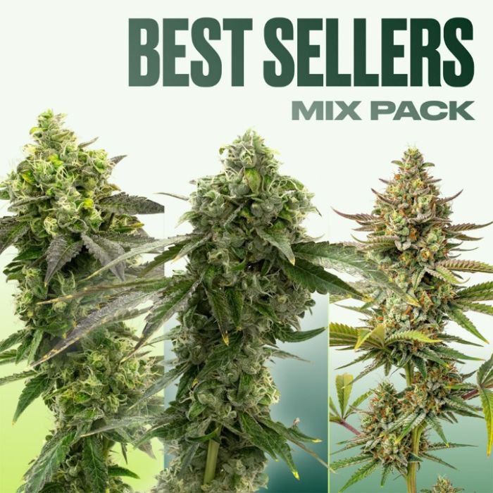 Best Sellers Seeds Mix Pack