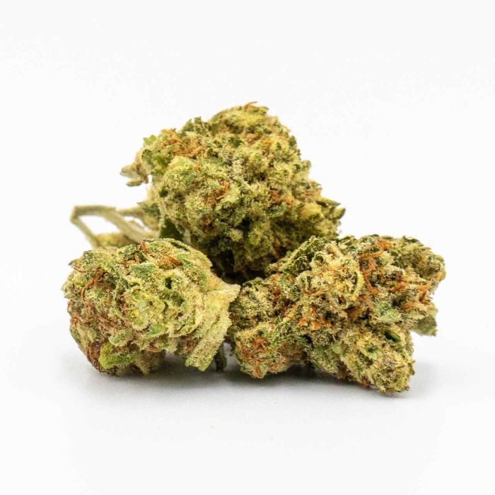 Cream Caramel Feminized Cannabis Seeds