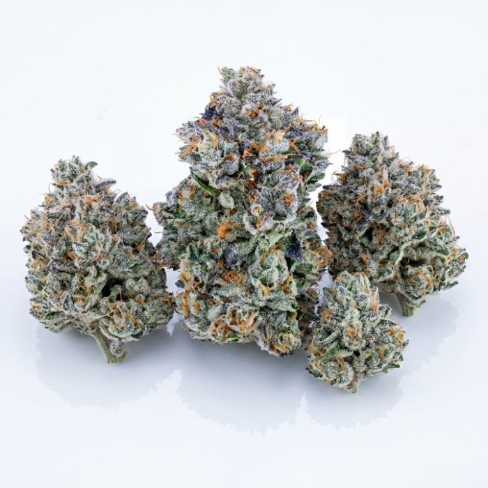 Big Blue Auto Seeds