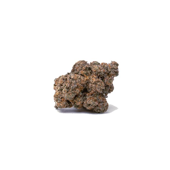 Biscotti Autoflower Cannabis Seeds