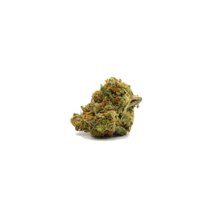 Biscotti Feminized Cannabis Seeds