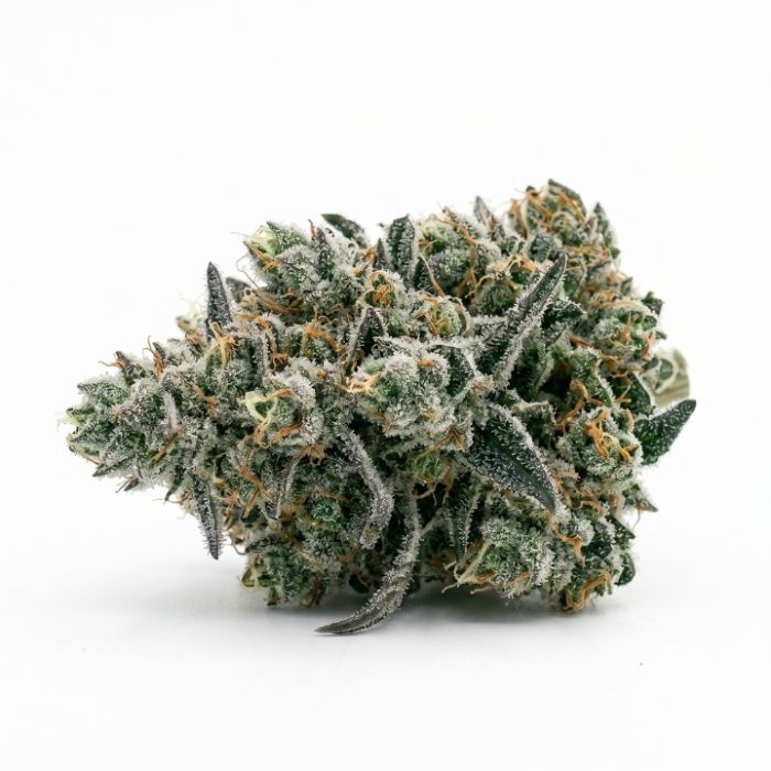 Biscotti Autoflower