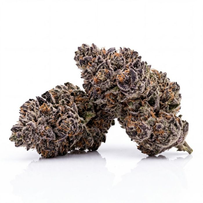 Black Cherry Punch Auto Seeds