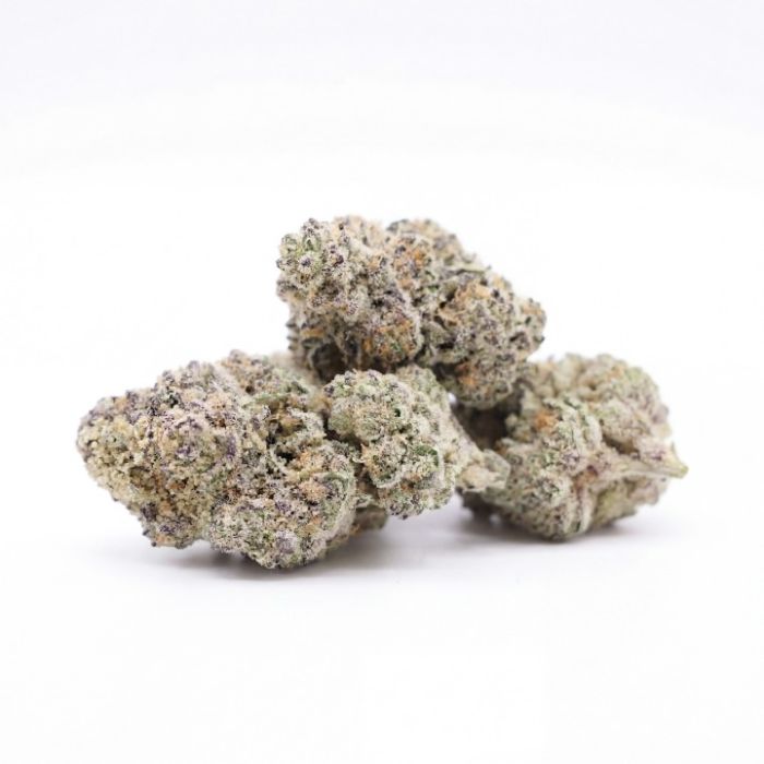 Blue Lobster Feminized Cannabis Seeds