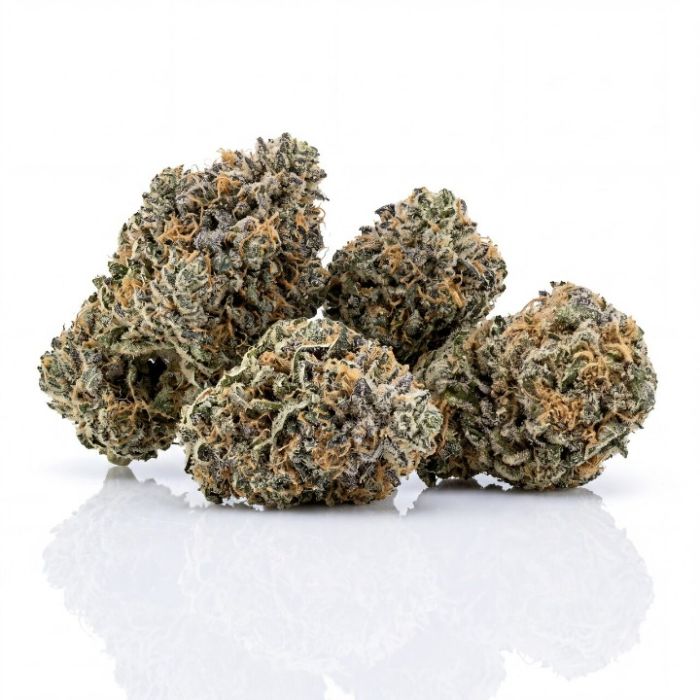 Blueberry Fury Auto Seeds