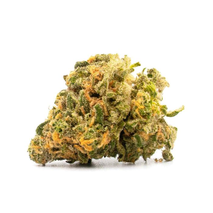 Girl Scout Cookies Autoflower Cannabis Seeds
