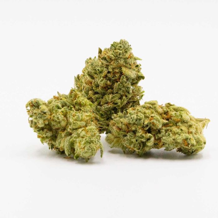 Gorilla Glue #4 Feminized Cannabis Seeds