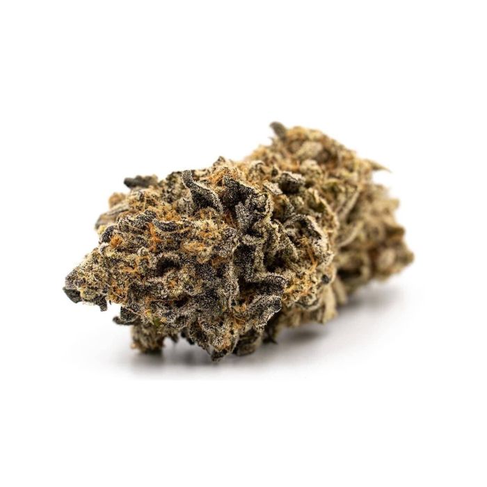 Blue Dream Autoflower Cannabis Seeds