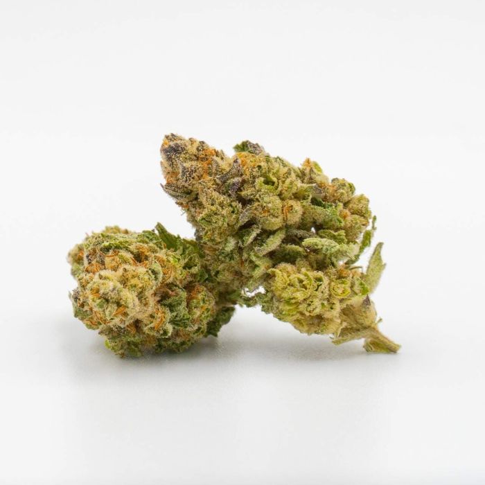 5 Alive Feminized Cannabis Seeds