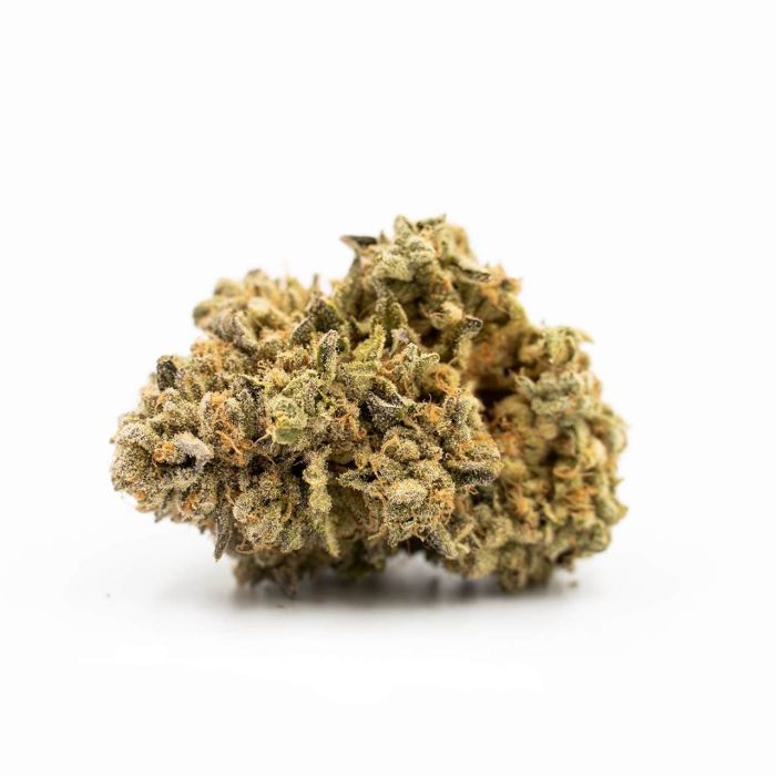 Runtz Autoflower Cannabis Seeds