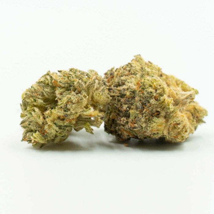 Hindu Kush Feminized Cannabis Seeds
