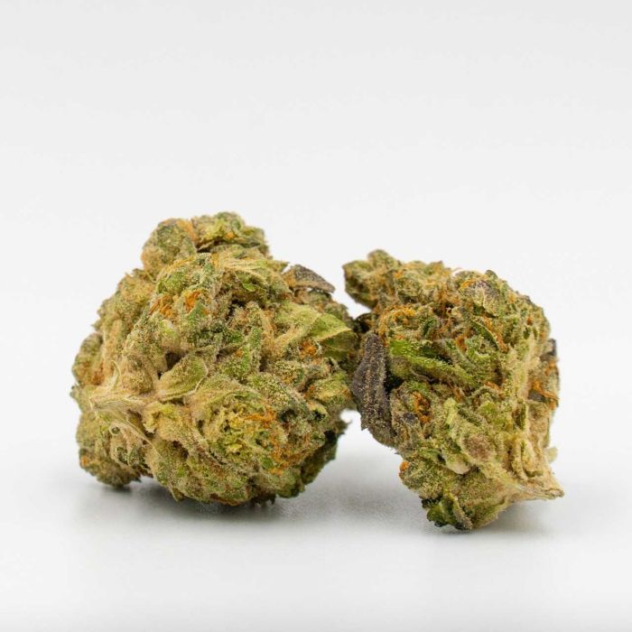 CBD Girl Scout Cookies Feminized Cannabis Seeds