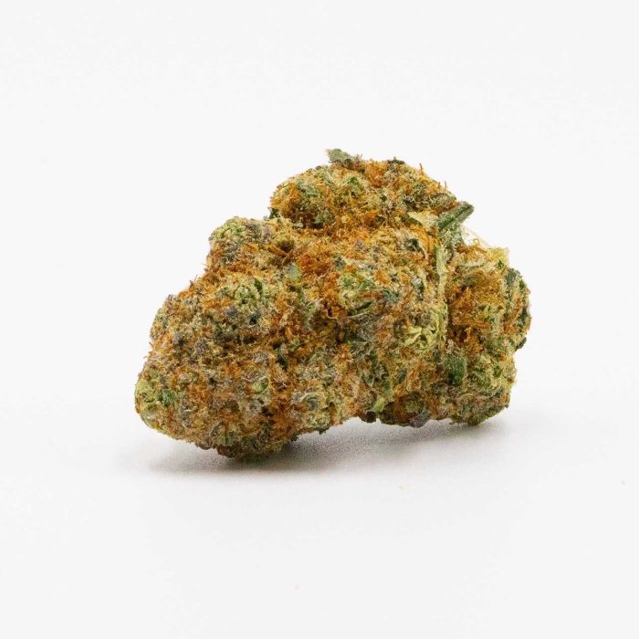 G13 Feminized Cannabis Seeds