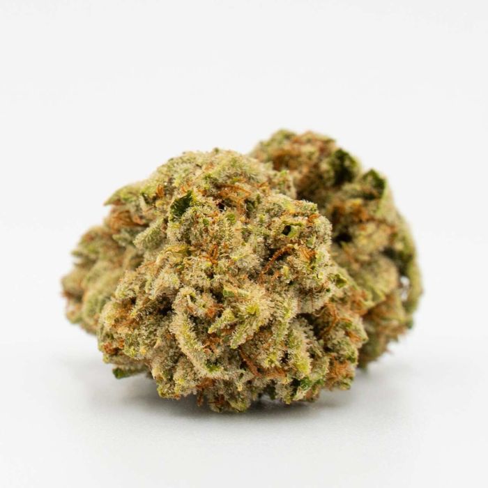Cheese Autoflower Cannabis Seeds