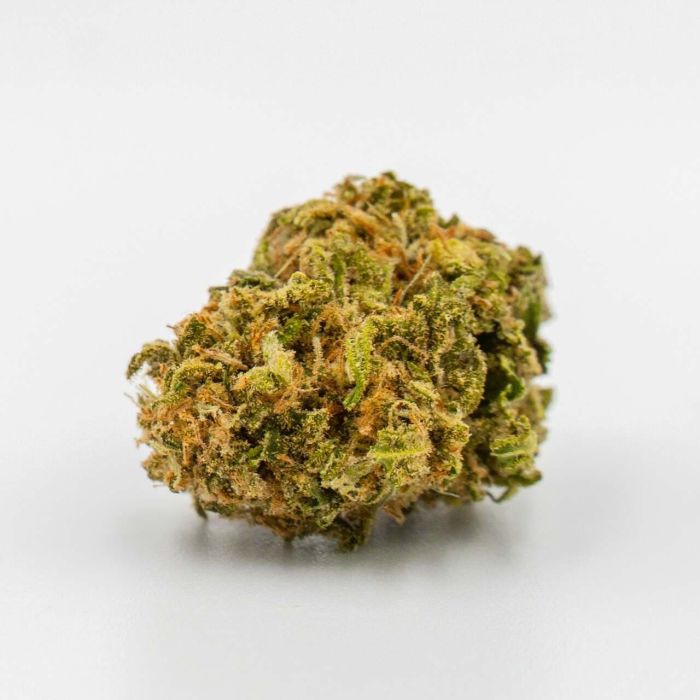 Alien Technology Regular Cannabis Seeds