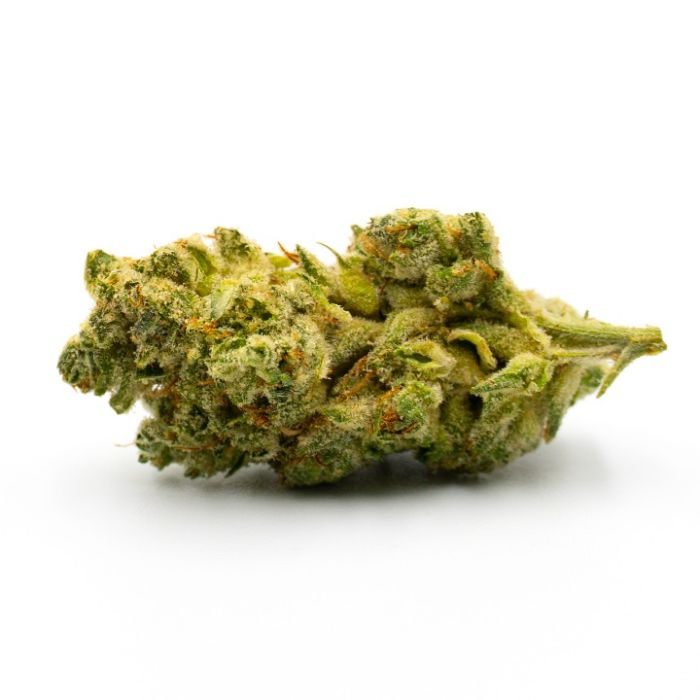 Cereal Milk Feminized Cannabis Seeds