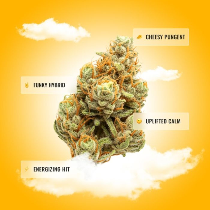 Donny Burger THCa Flower