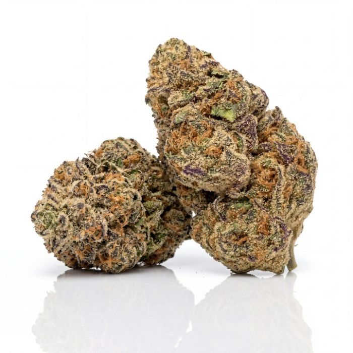 Dream Queen Seeds