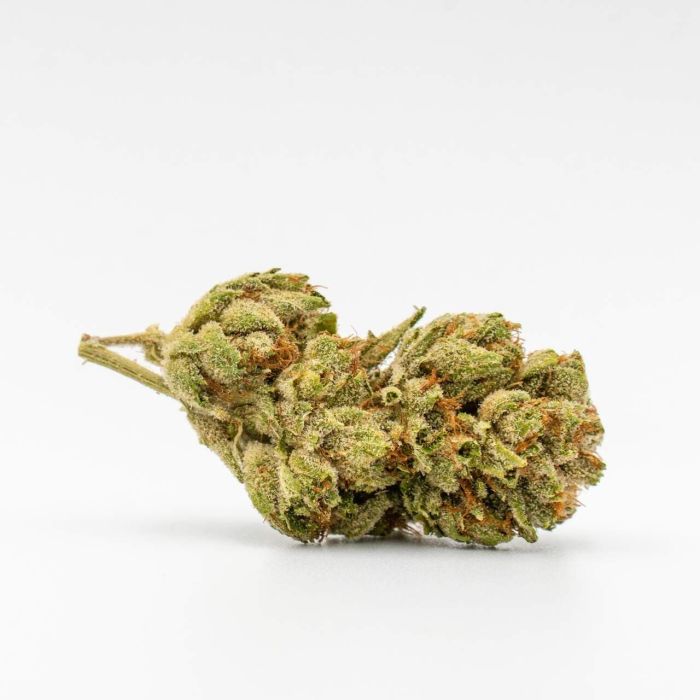 Lowryder Autoflower Cannabis Seeds