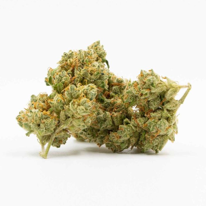 Cheese Feminized Cannabis Seeds