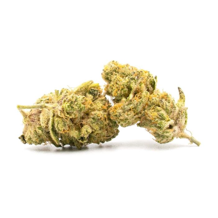 Gold Leaf Autoflower Cannabis Seeds