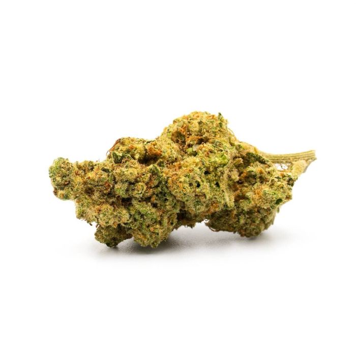 Critical Jack Feminized Cannabis Seeds