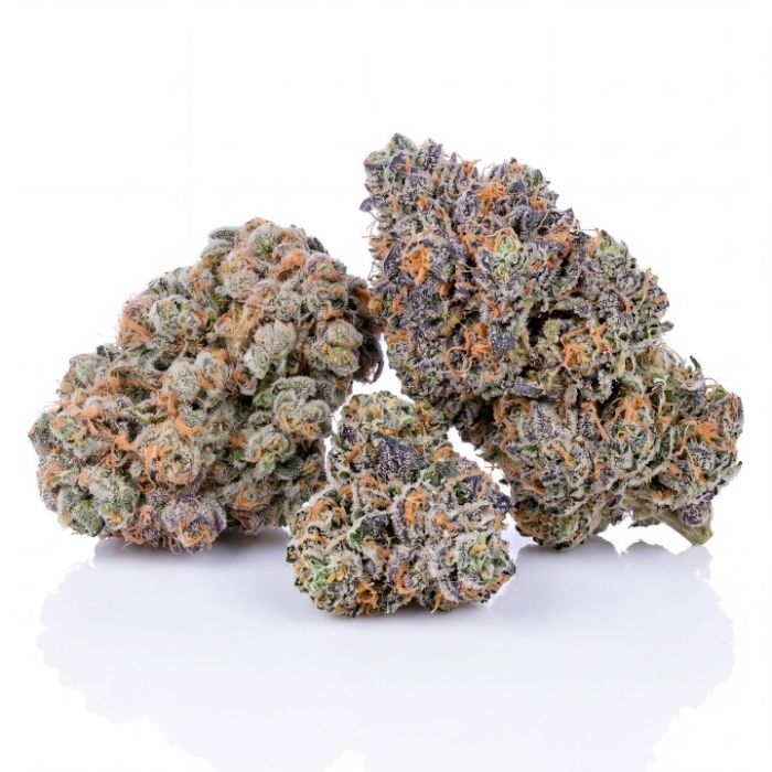 Electric Blue Auto Seeds
