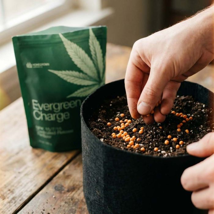 Evergreen Charge - NPK Controlled Release Fertilizer