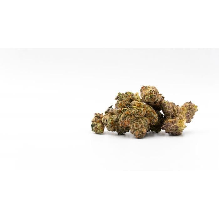 Critical Purple Autoflower Cannabis Seeds