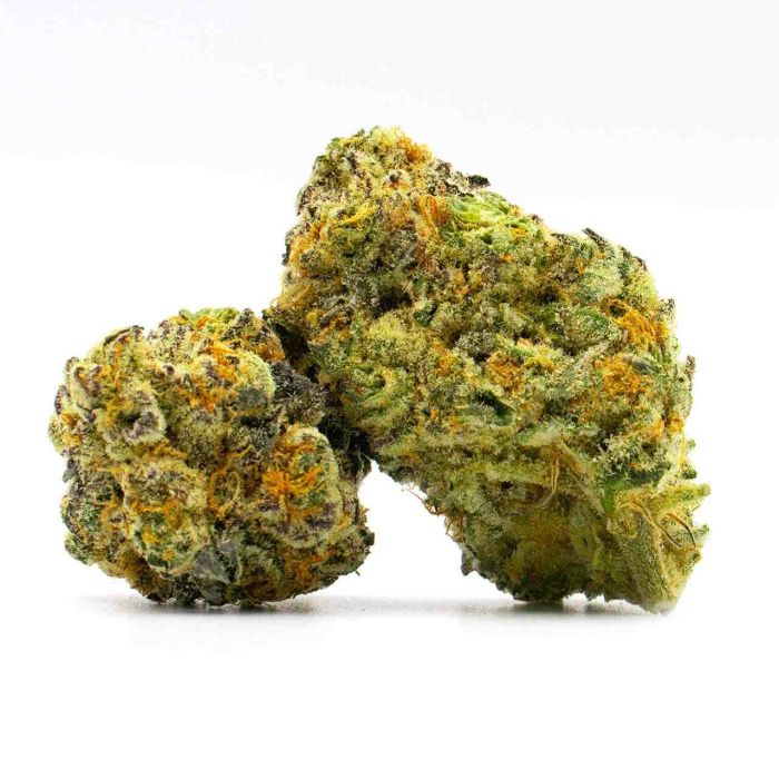 Kyle's Sweet Island Feminized Cannabis Seeds