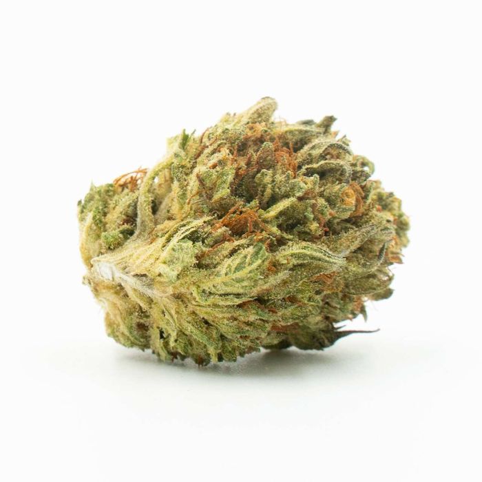 Jack Herer Autoflower Cannabis Seeds