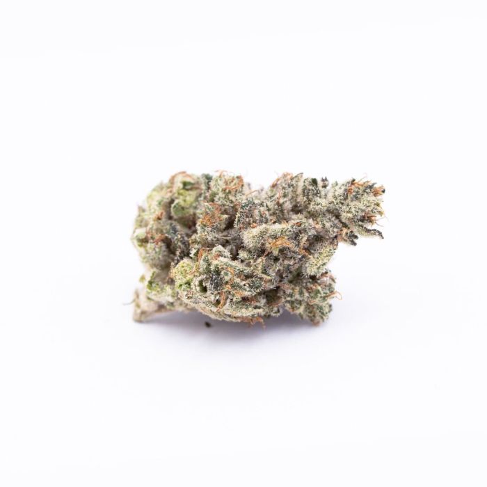 Black Runtz Feminized Cannabis Seeds