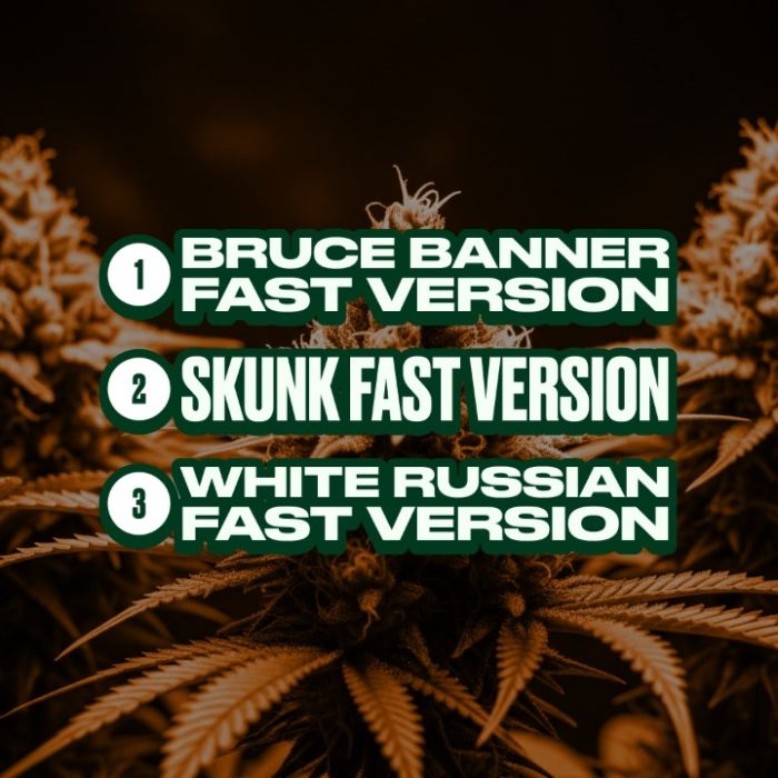 Fast Version Mix Pack