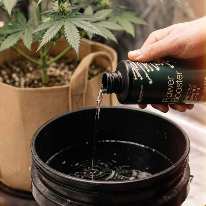 Flower Booster