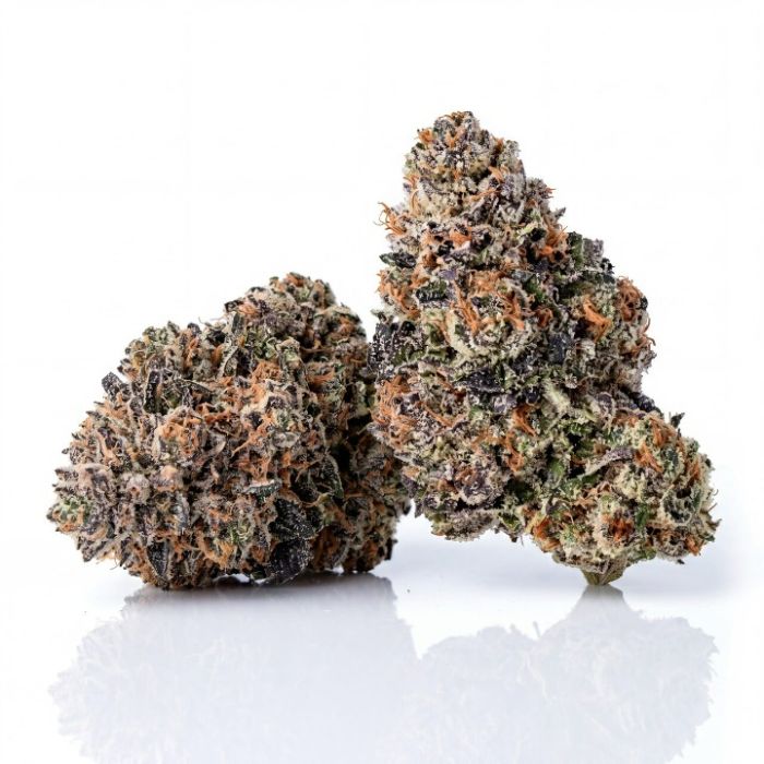 Forbidden Runtz Auto Seeds