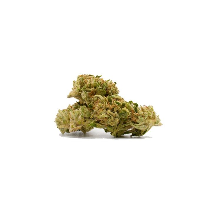 Frosted Gelato 41 Feminized Cannabis Seeds