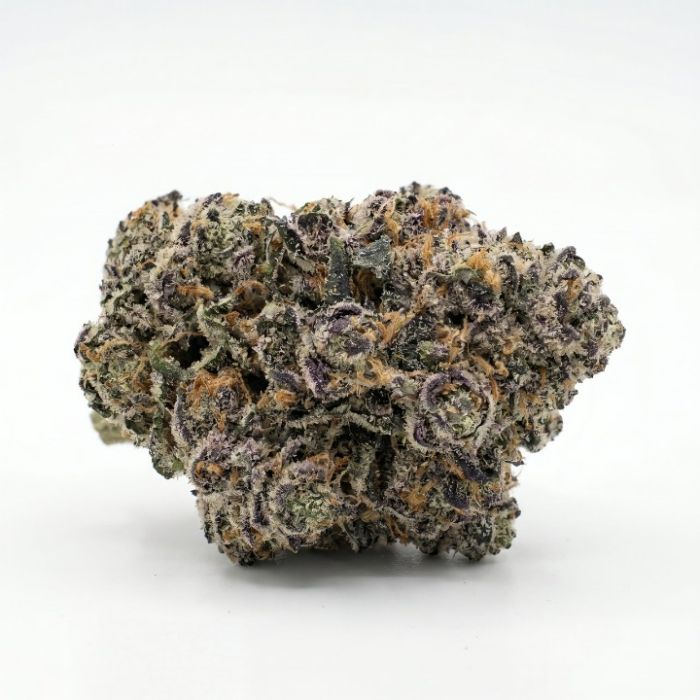 Frozen Punch Feminized