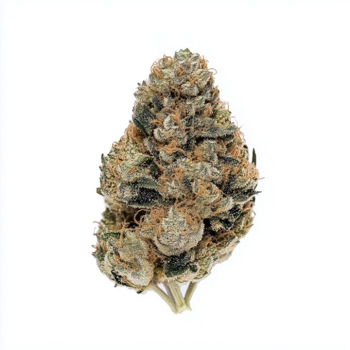 Galaxy Gummies Autoflower Cannabis Seeds