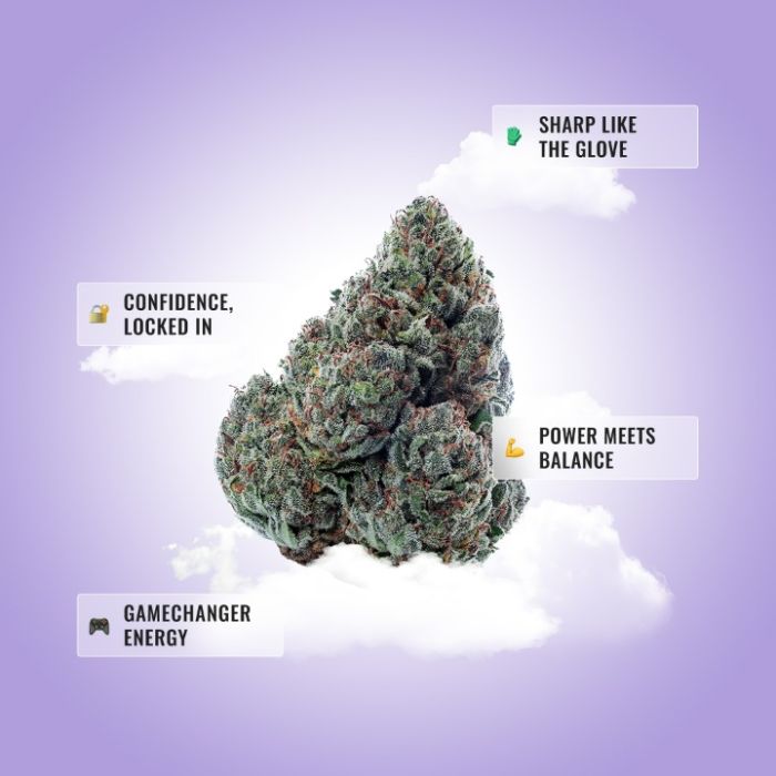 Gary Payton THCa Flower