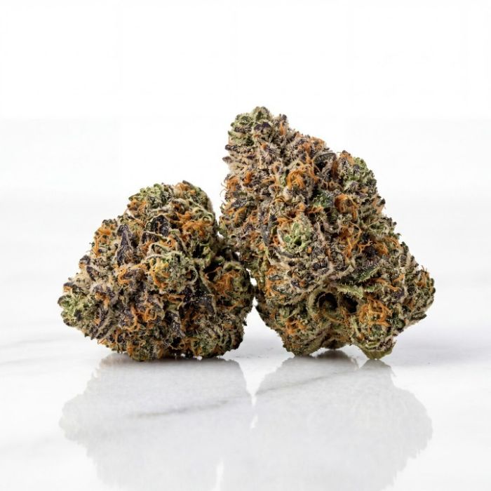 Frosted Gelato 41 Seeds