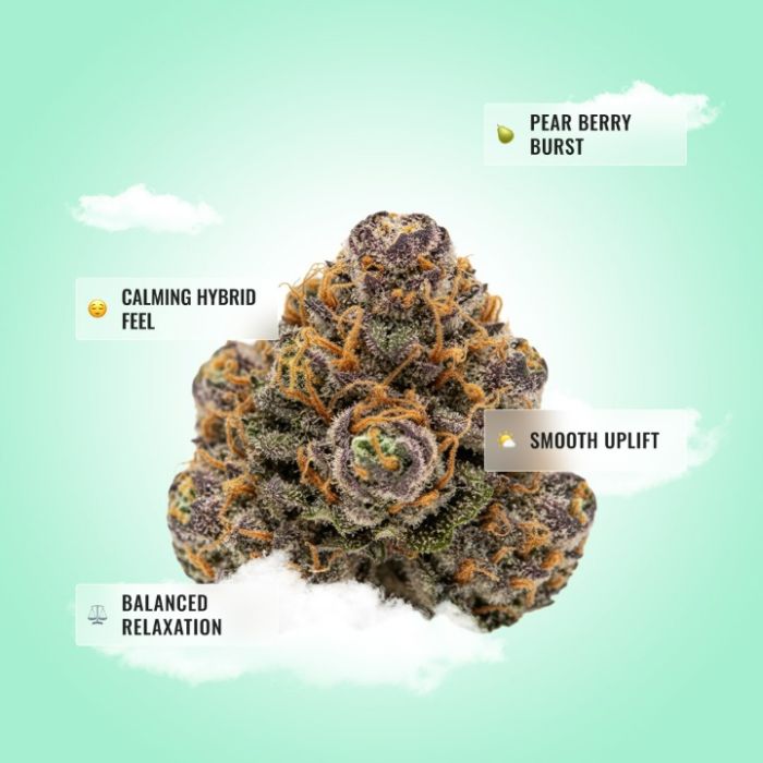 Glitter Bomb THCa Flower