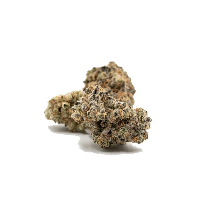 GMO Autoflower Cannabis Seeds