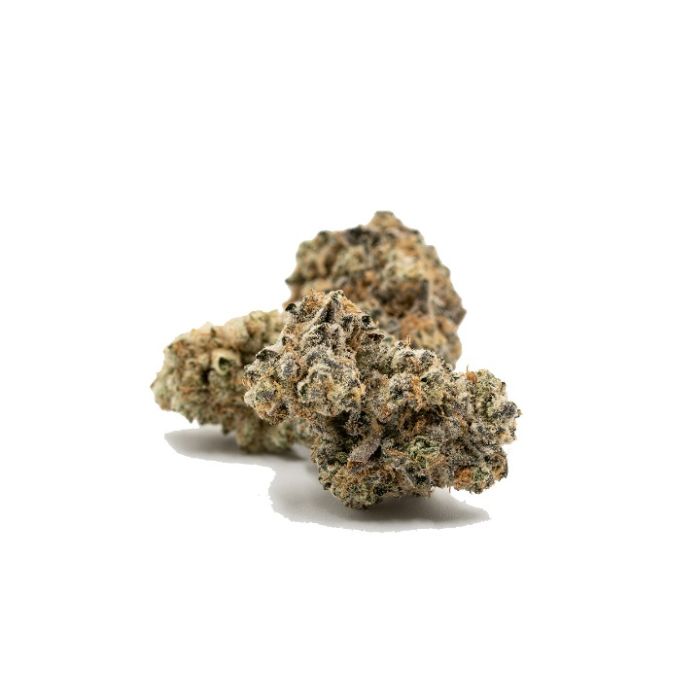 GMO Feminized Cannabis Seeds