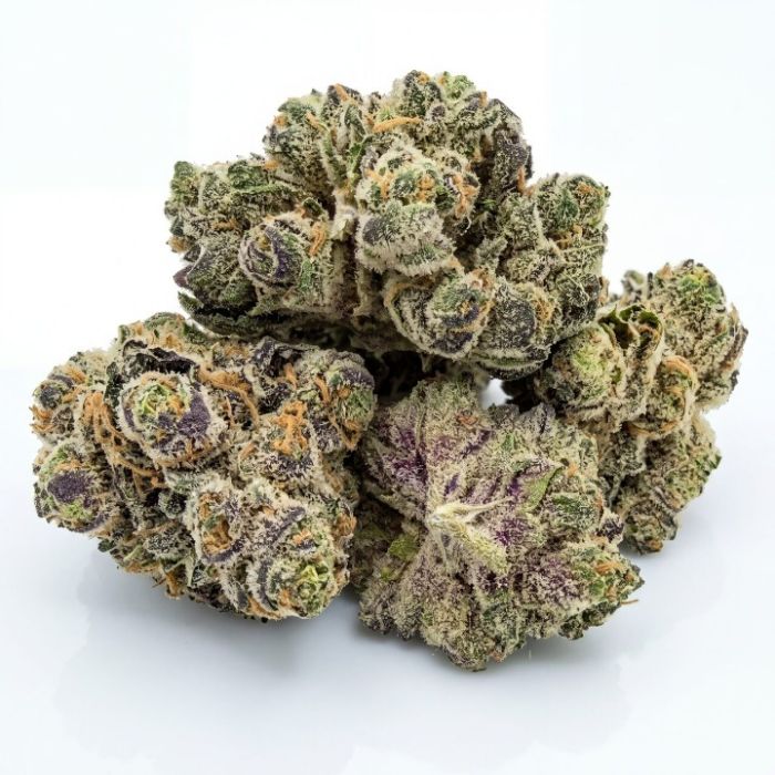 Grandaddy Glue Auto Seeds