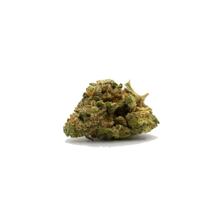 Grape Octane Feminized Cannabis Seeds