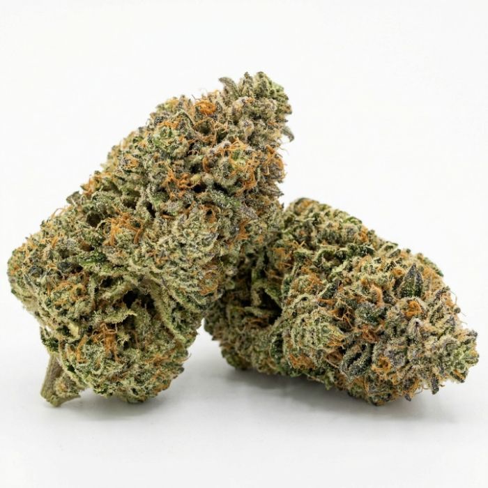 Grease Gun Autoflower